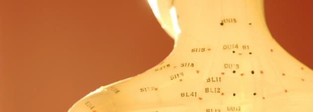 Troy Clamp, TCM Practitioner practicing in Kimberley, BC