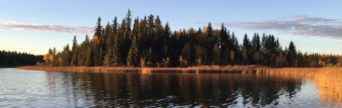 Rechelle McLean, TCM Practitioner practicing in Victoria, BC