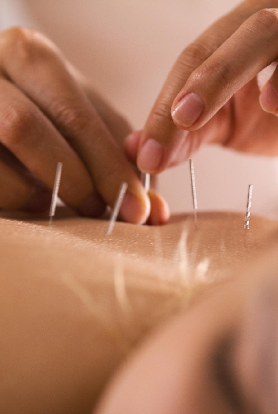 Eui Hong Chung, TCM Practitioner practicing in Mission, BC
