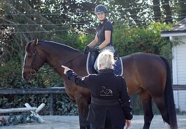 Susan Thompson, TCM Practitioner practicing in Delta, BC